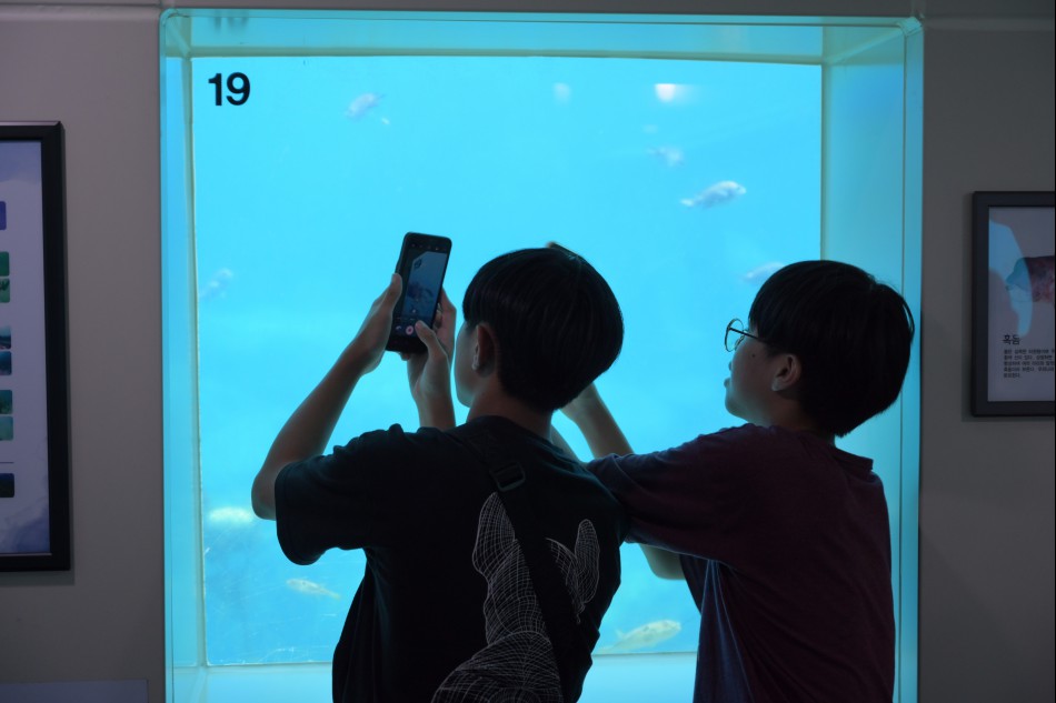 DSC_4292전망대.JPG