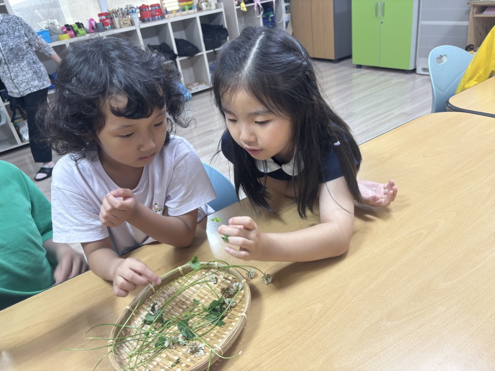 KakaoTalk_20260602_164942568_05.jpg